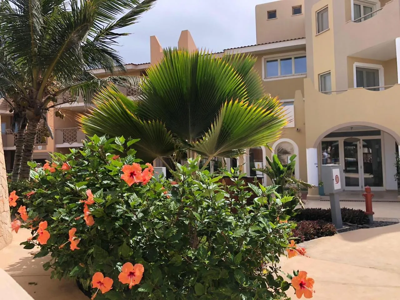 Appartement Tropical Casa Castanha à Santa Maria